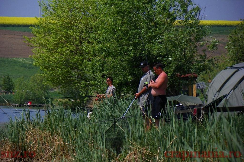 Concurs Party Cup - Sulimanu - 1010473.jpg